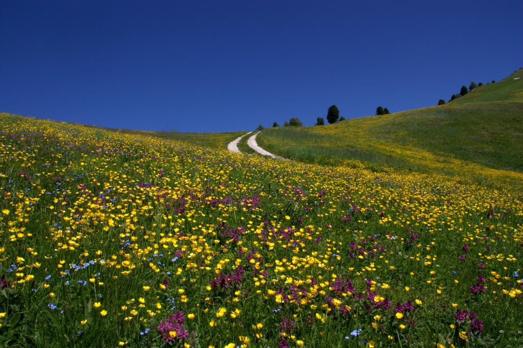 Hotel La Pineta Selva di Val Gardena Dış mekan fotoğraf